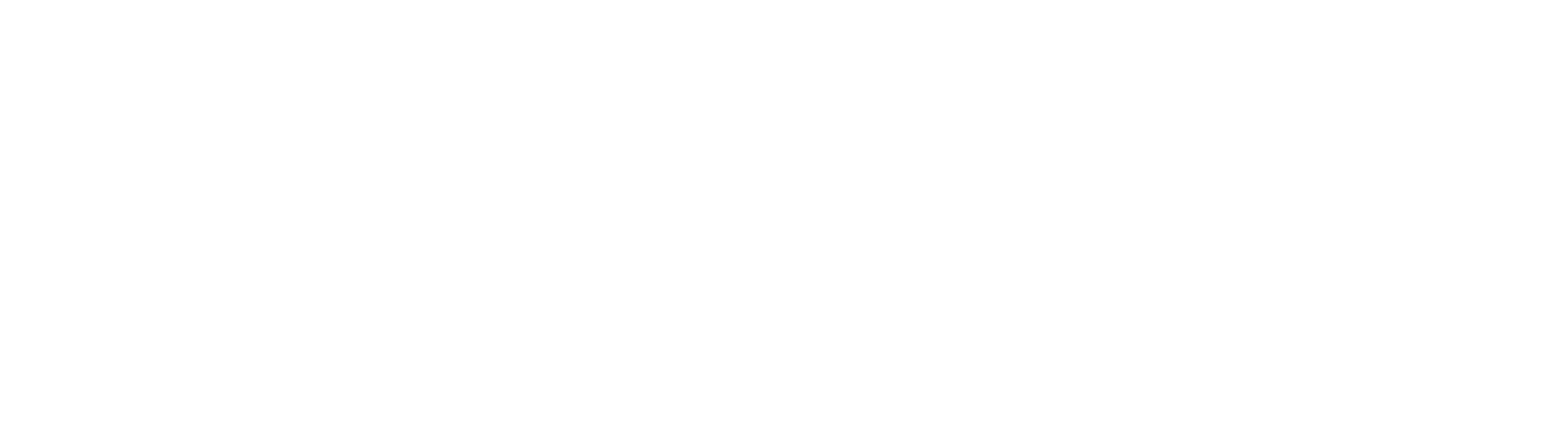 ElevateMarketingPros_Logo_White_Horizontal